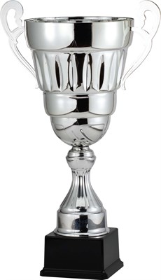 AMC376 Series Metal Trophy